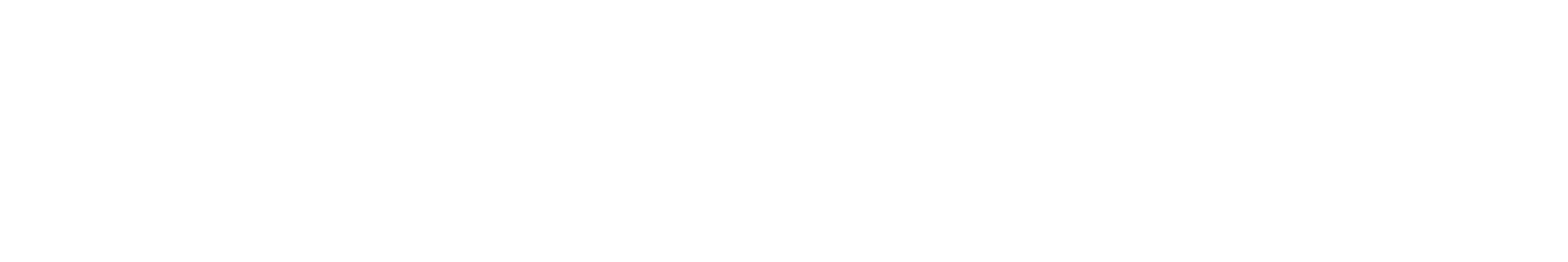 Flybubble